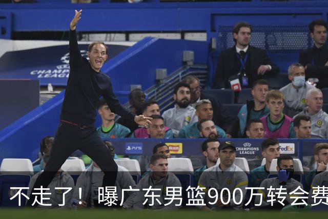不走了！曝广东男篮900万转会费签下昔日状元内线，杜锋拒绝摆烂