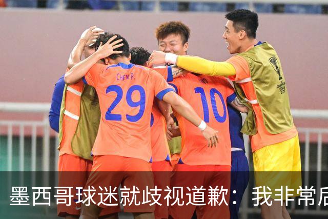 墨西哥球迷就歧视道歉：我非常后悔，已辞去工程师协会职务